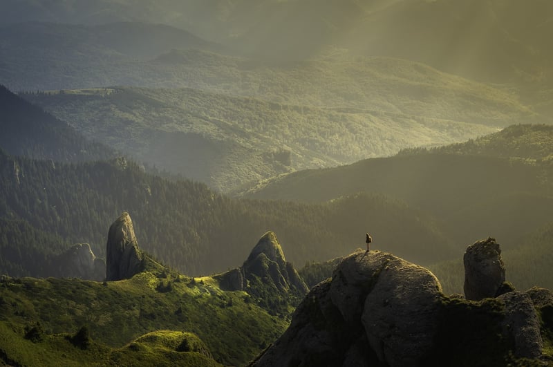 Hiking